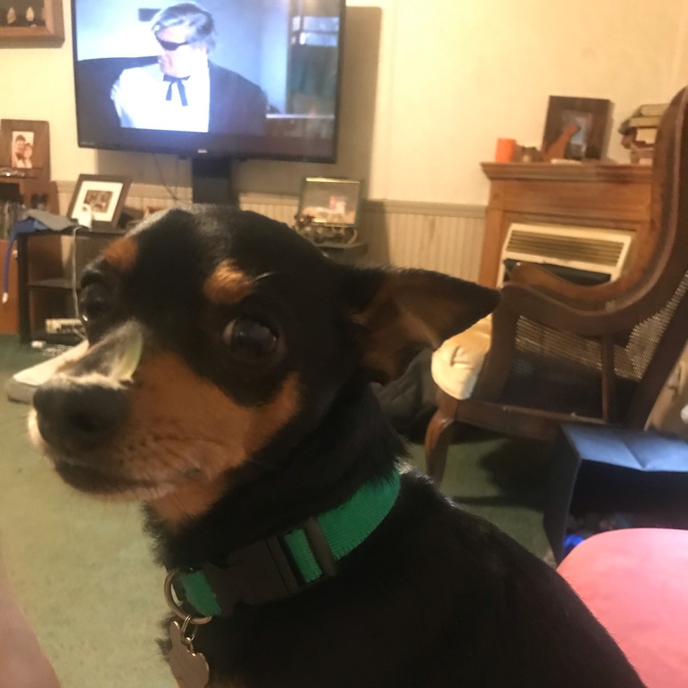 Meet your Posher, Lynda